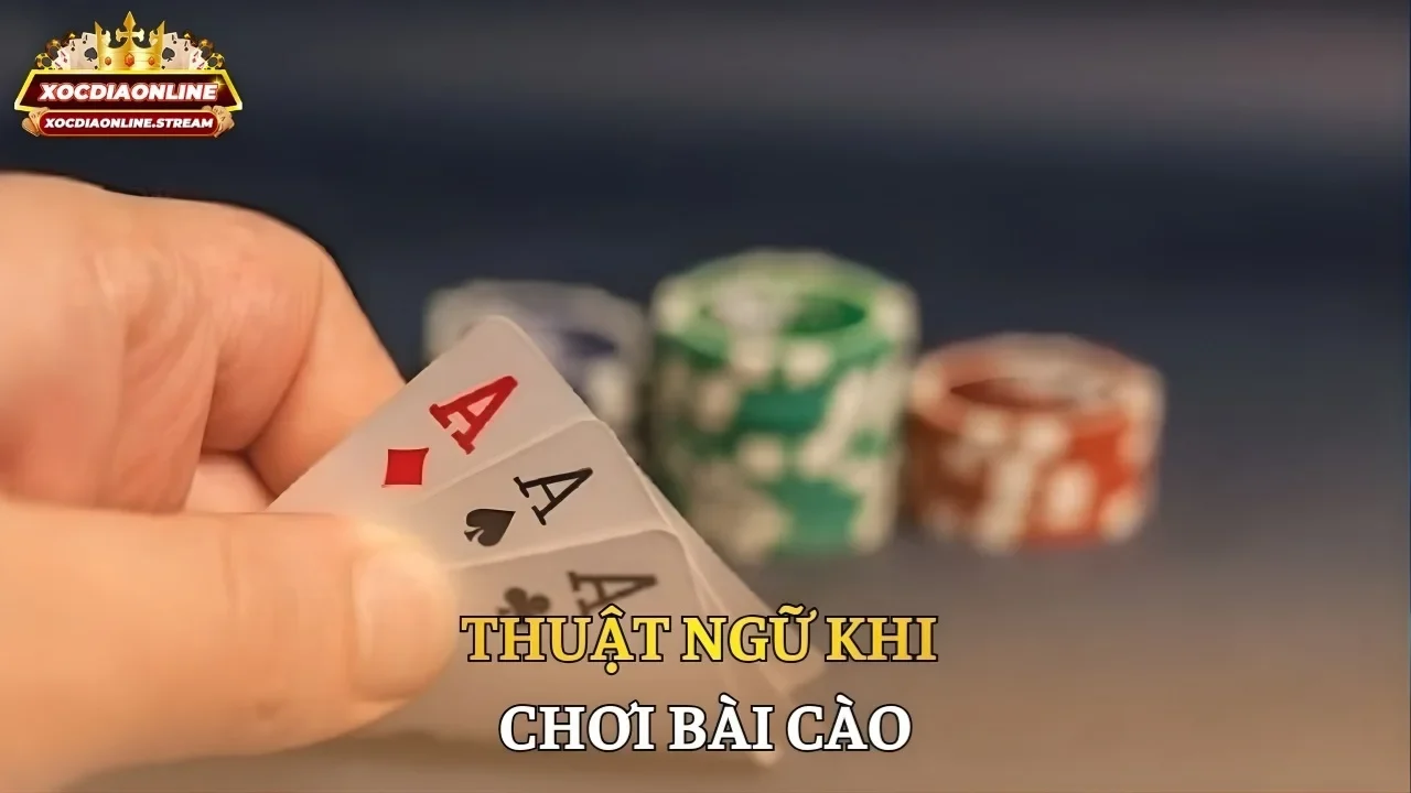 Thuật ngữ khi chơi bài cào