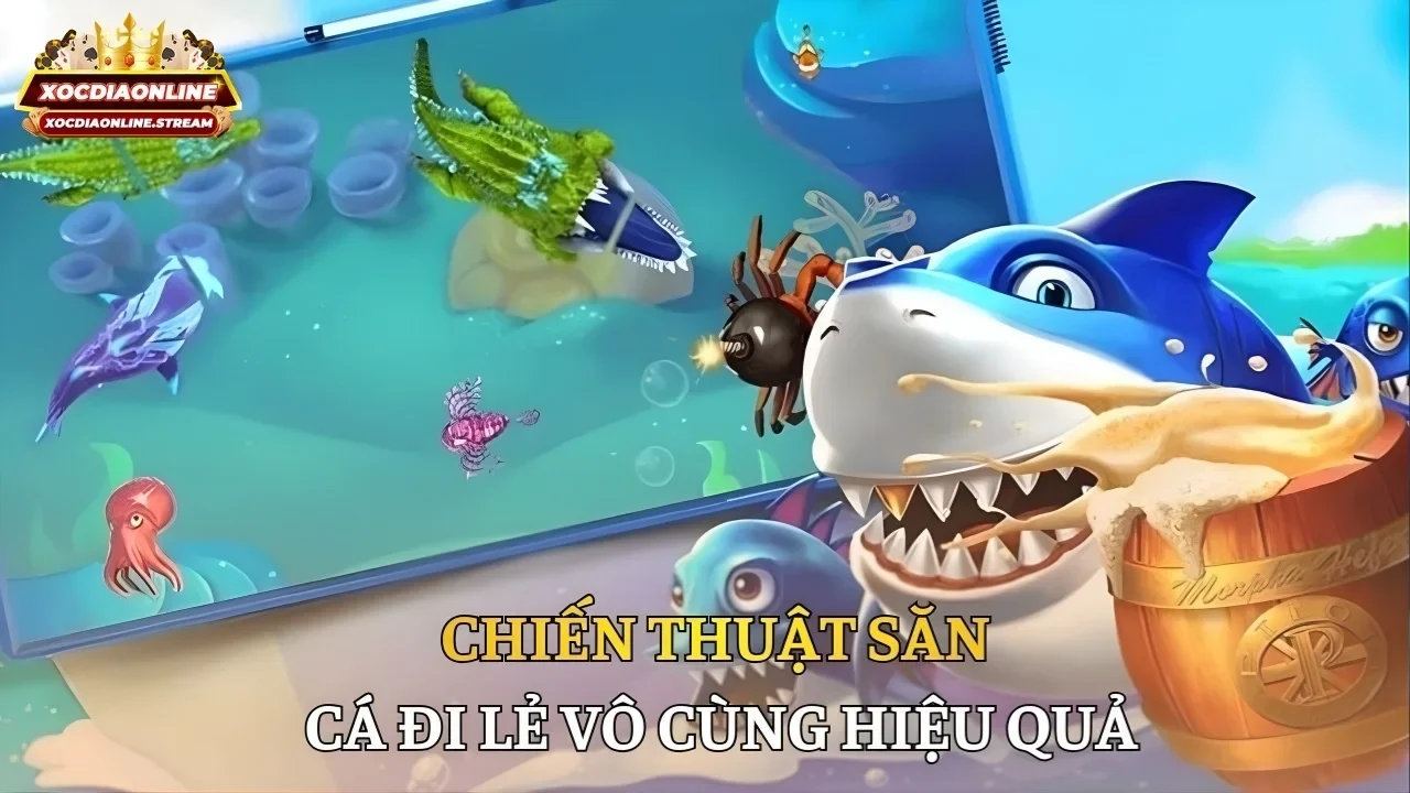 Chiến thuật săn cá đi lẻ vô cùng hiệu quả