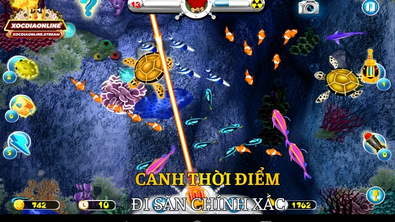 Canh thời điểm đi săn chính xác