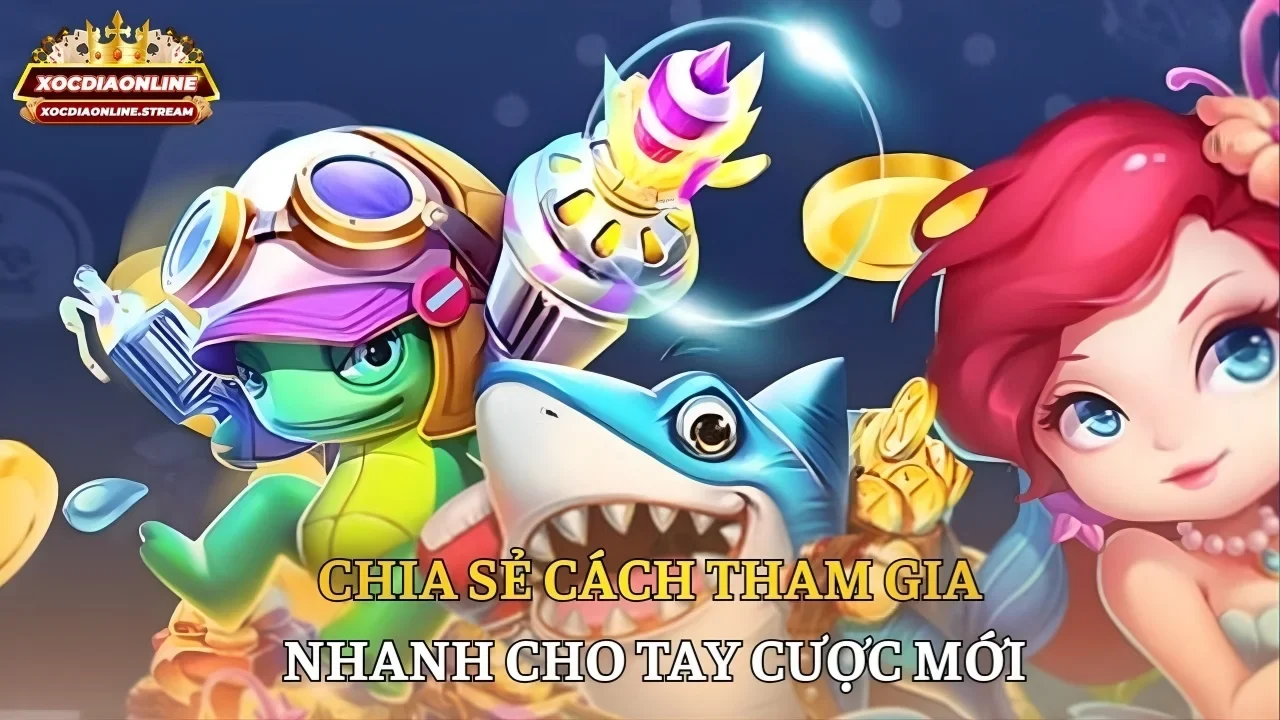 Chia sẻ cách tham gia nhanh cho tay cược mới