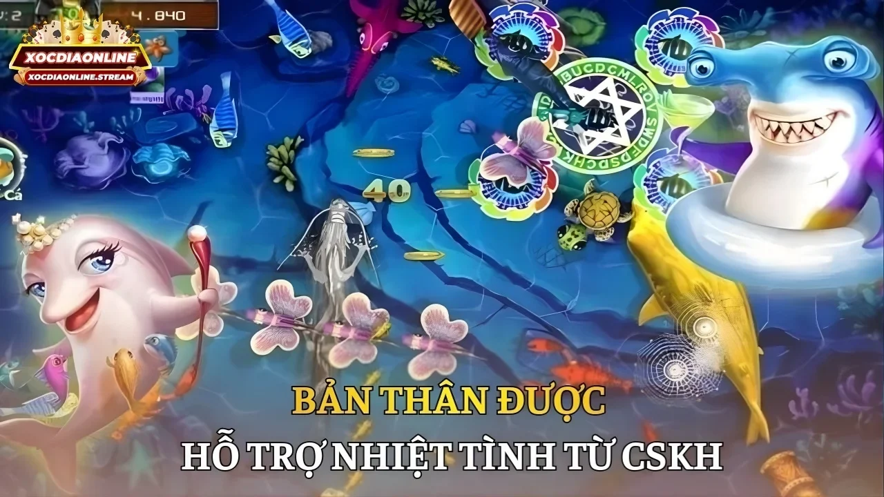 Bản thân được hỗ trợ nhiệt tình từ CSKH