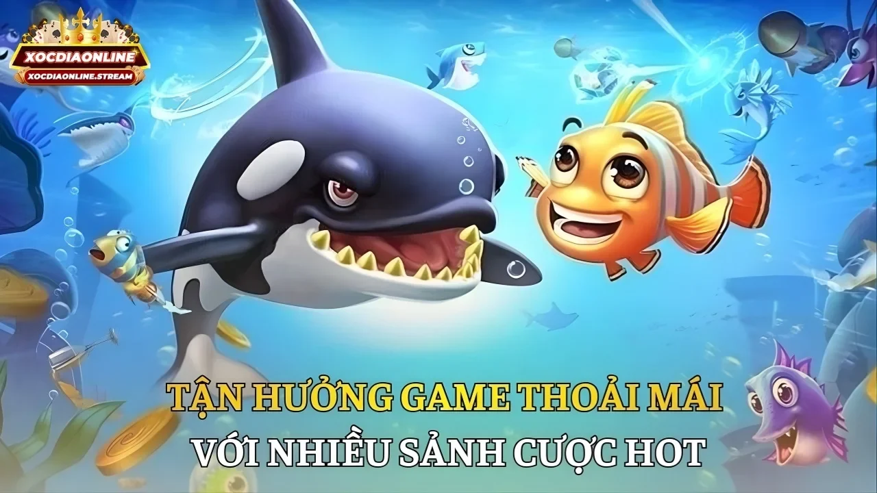 Tận hưởng game thoải mái với nhiều sảnh cược hot