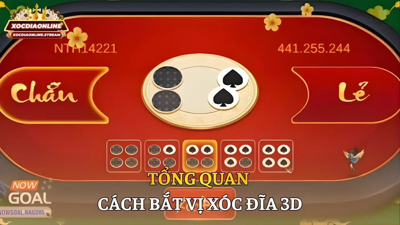 Tổng quan cách bắt vị xóc đĩa 3D