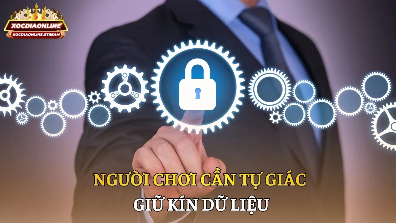 Người chơi cần tự giác giữ kín dữ liệu
