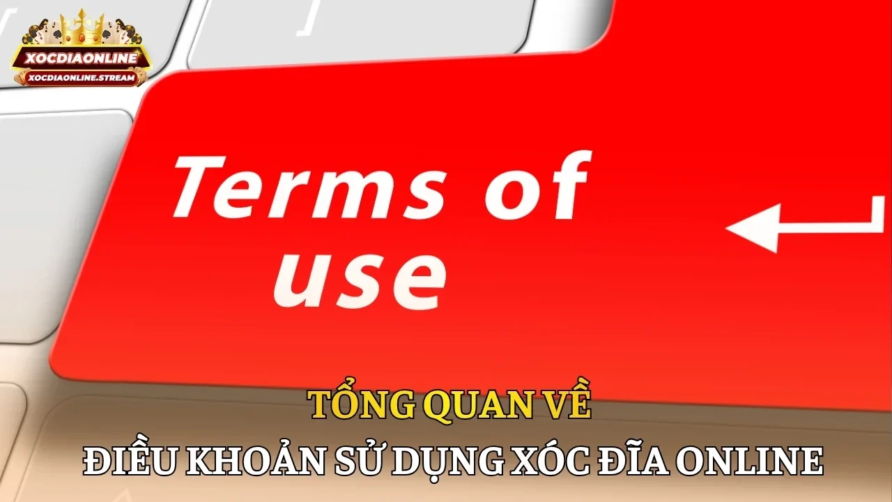 Tổng quan về điều khoản sử dụng Xóc Đĩa Online