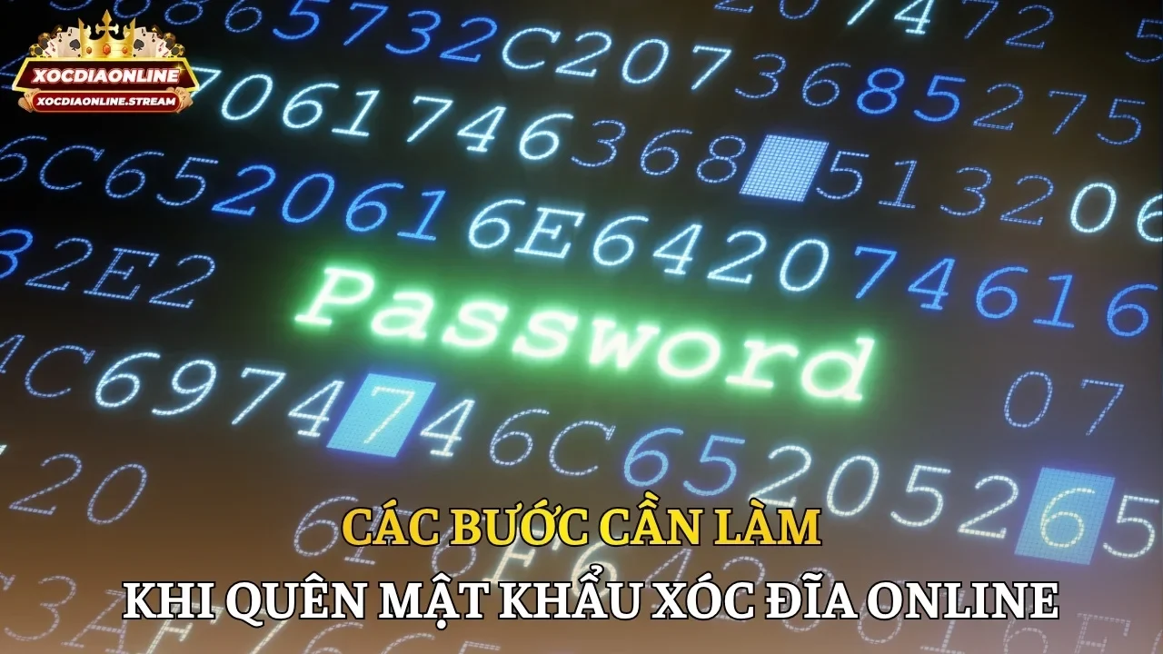 Các bước cần làm khi quên mật khẩu Xóc đĩa online