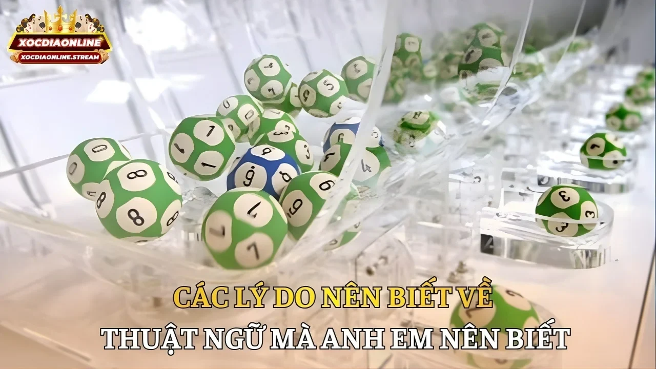 Các lý do nên biết về thuật ngữ mà anh em nên biết