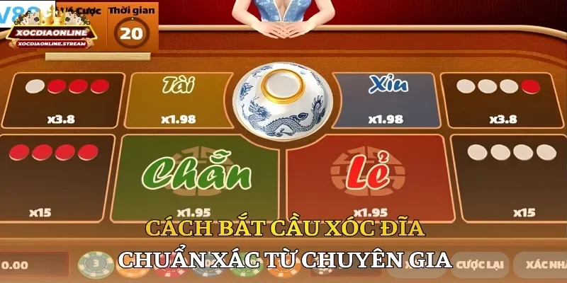 Cách bắt cầu xóc đĩa chuẩn xác từ chuyên giaCách bắt cầu xóc đĩa chuẩn xác từ chuyên gia