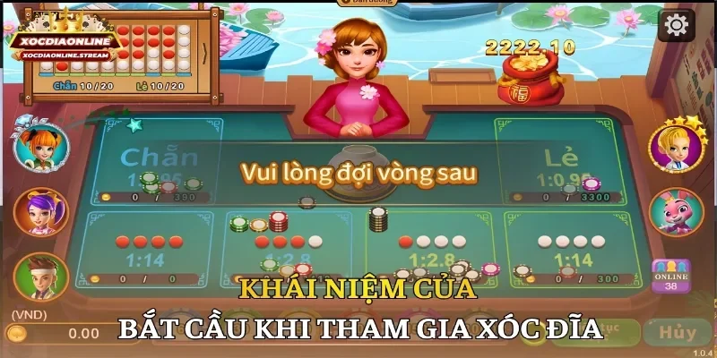 Khái niệm của bắt cầu khi tham gia xóc đĩa