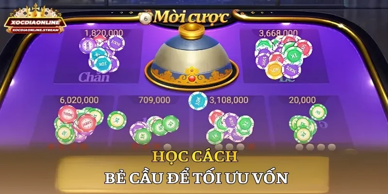 Học cách bẻ cầu để tối ưu vốn