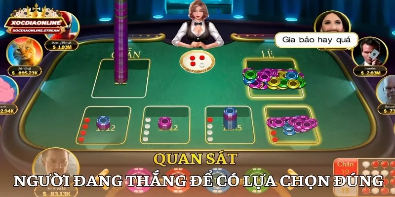 Quan sát người đang thắng để có lựa chọn đúng