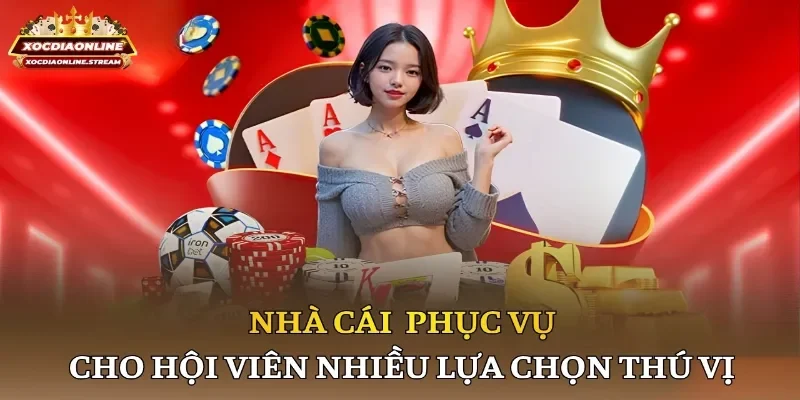 Nhà cái phục vụ cho hội viên nhiều lựa chọn thú vị