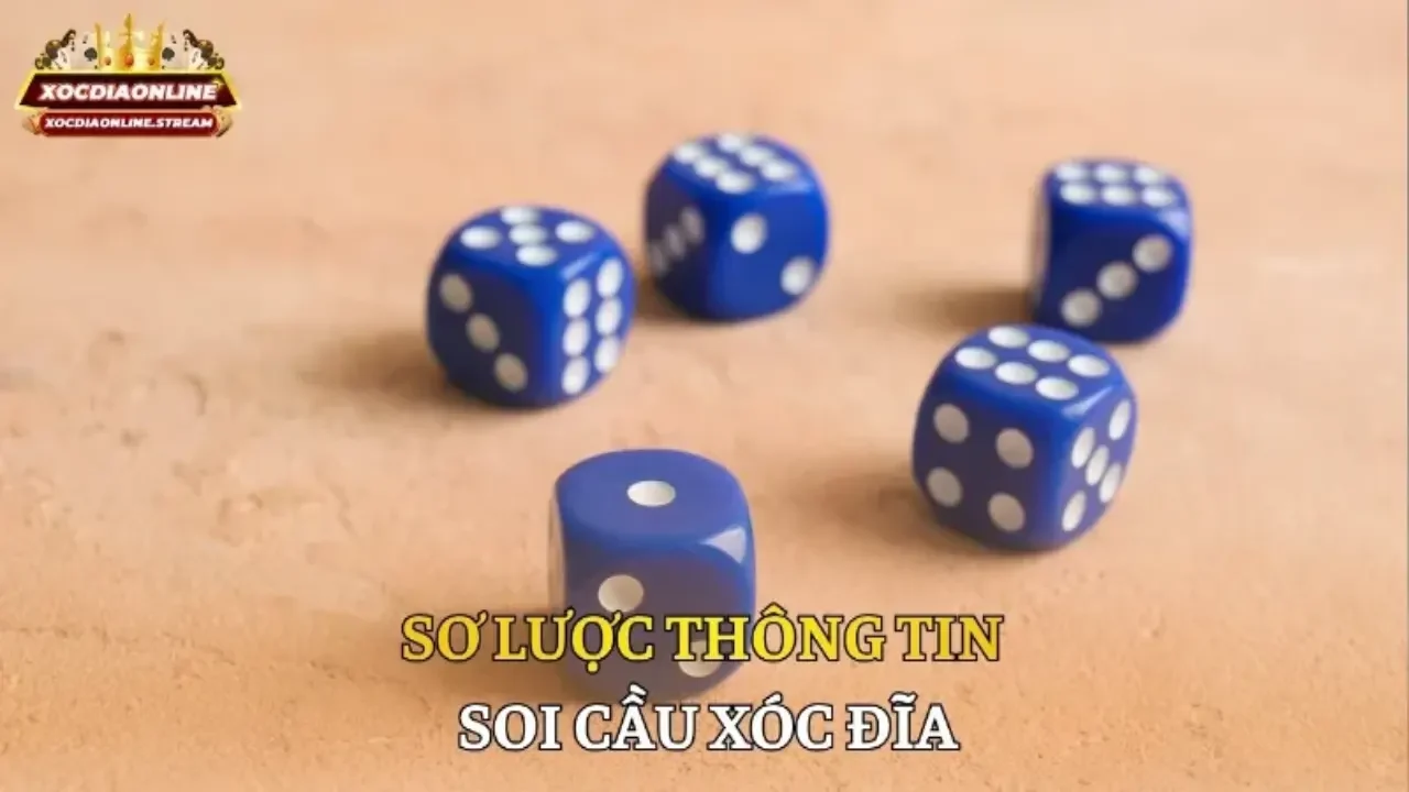 Sơ lược thông tin soi cầu xóc đĩa