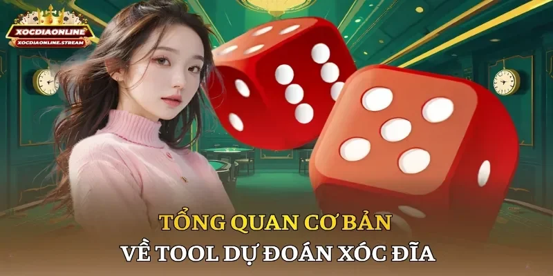 Tổng quan cơ bản về tool dự đoán xóc đĩa