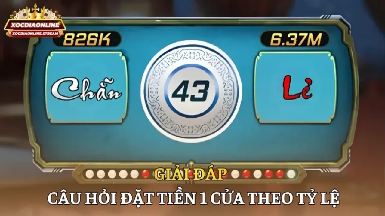 Giải đáp câu hỏi đặt tiền 1 cửa theo tỷ lệ